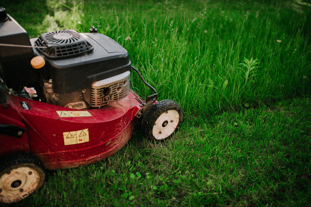 Close-up of a petrol lawnmower cutting through long grass on a residential lawn