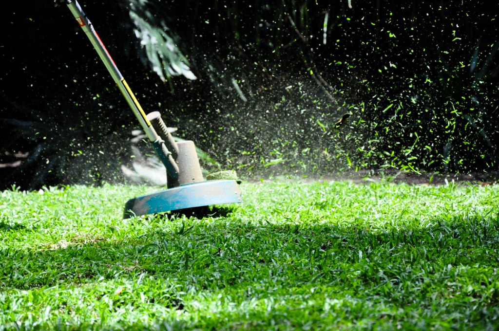 Garden strimmer cutting a lawn edge, clippings spraying up across the grass